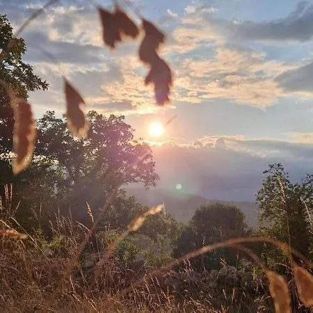 Paisible Au Coeur De La Montagne Bourbonnaise, Animaux Acceptes - Fr-1-489-553 Σπίτι διακοπών *