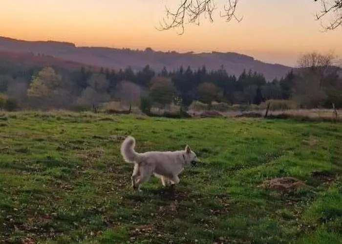 Paisible Au Coeur De La Montagne Bourbonnaise, Animaux Acceptes - Fr-1-489-553