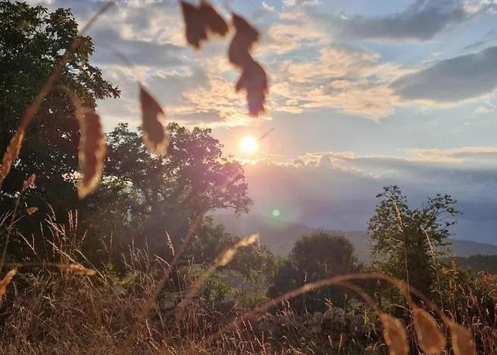 Paisible Au Coeur De La Montagne Bourbonnaise, Animaux Acceptes - Fr-1-489-553 Feriehus *